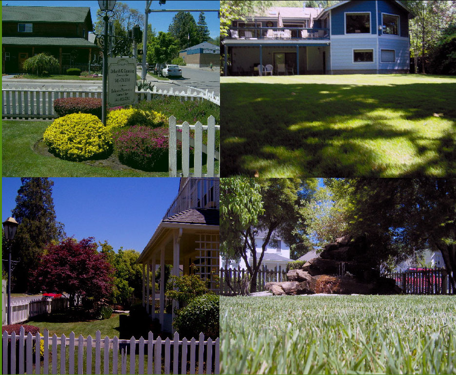 Lawn King Lawn Care Services