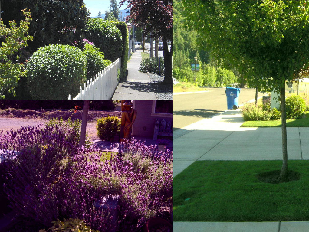Lawn King Lawn Care Services