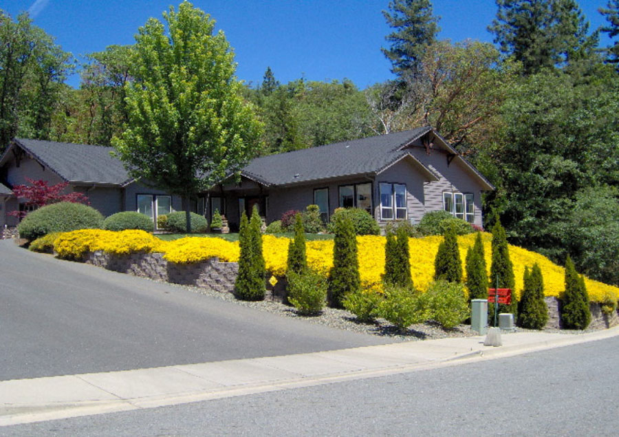 Lawn King Lawn Care Services