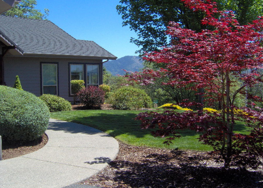 Lawn King Lawn Care Services